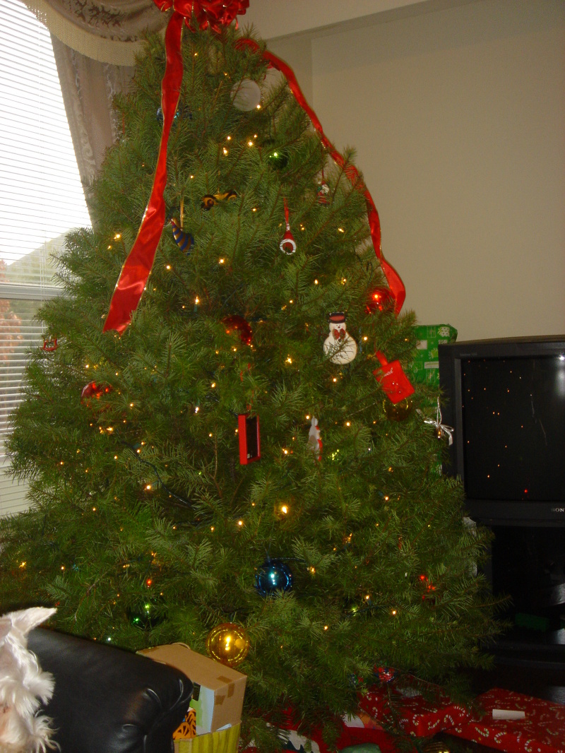 2006/12(Dec)/06(Christmas Morning-Josh-Heather-Ian)/800x600_2006-12-25-11-ChristmasMorning.JPG